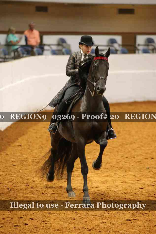 Proof 20_REGION9_03269