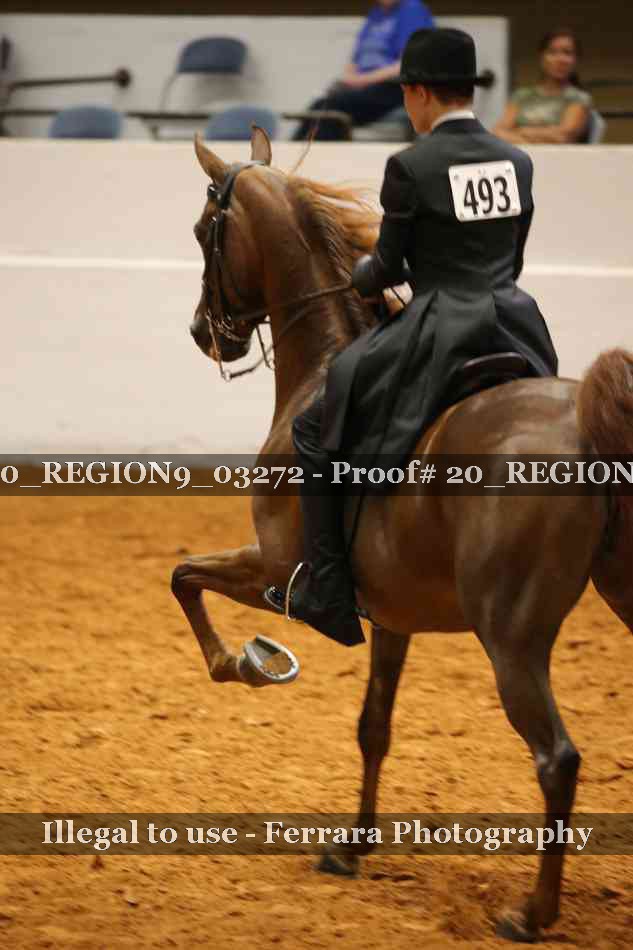 Proof 20_REGION9_03272