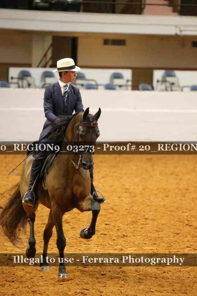 Proof 20_REGION9_03273