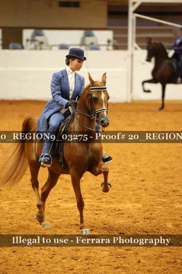 Proof 20_REGION9_03275
