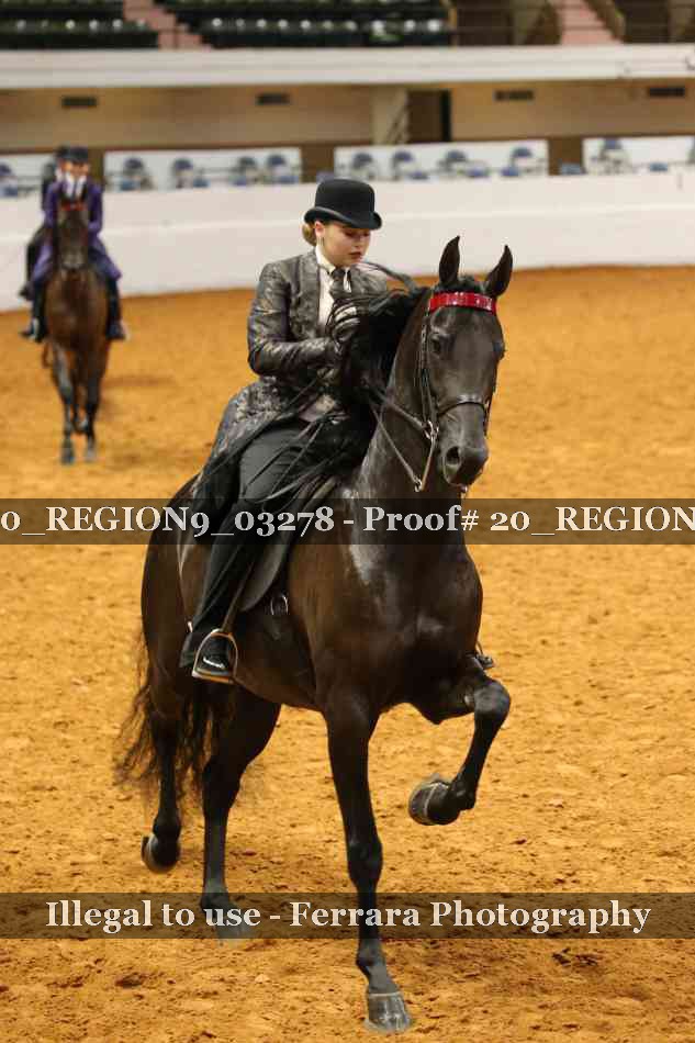 Proof 20_REGION9_03278