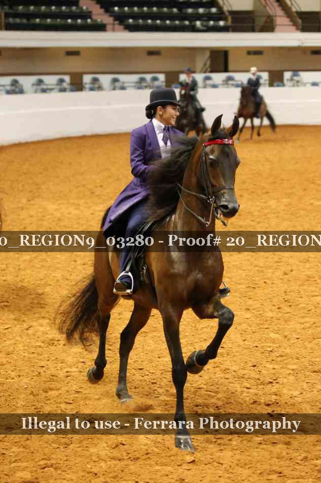 Proof 20_REGION9_03280