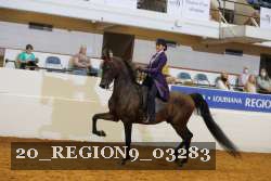 20_REGION9_03283 proof
