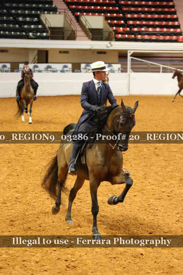Proof 20_REGION9_03286
