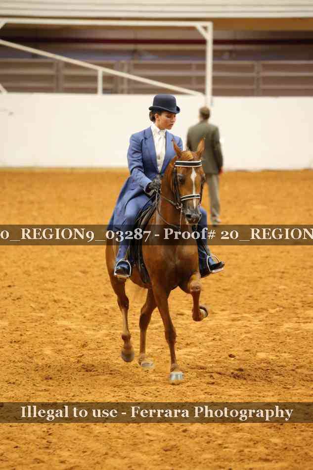 Proof 20_REGION9_03287