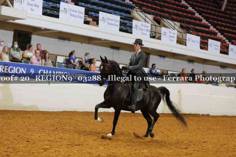 Proof 20_REGION9_03288