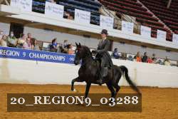 20_REGION9_03288 proof