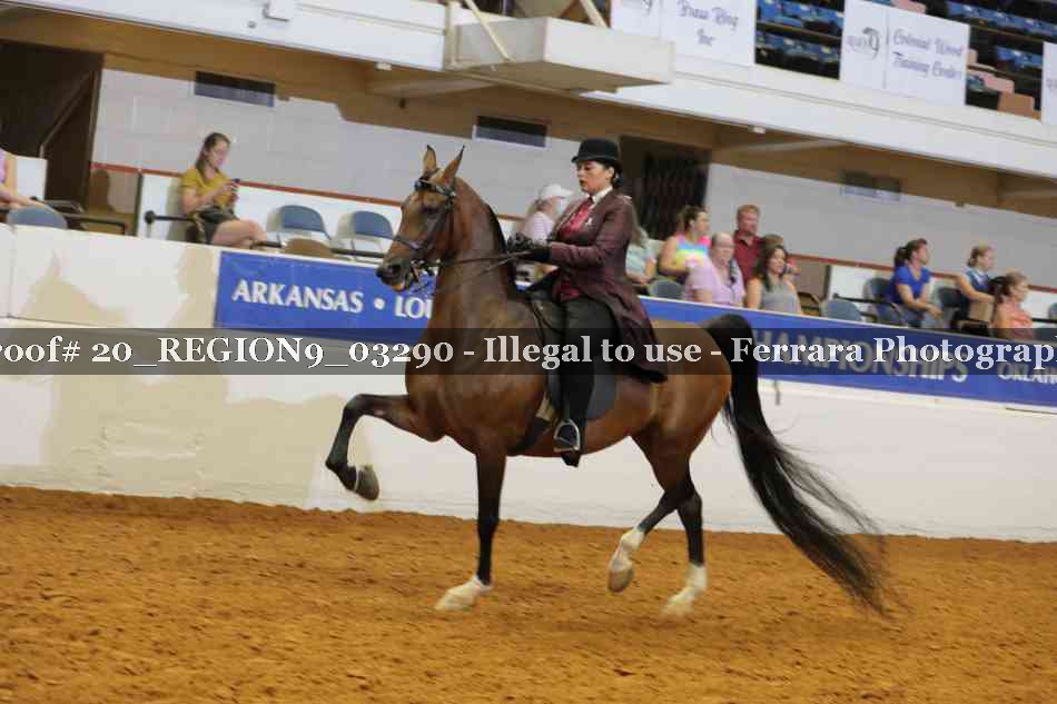 Proof 20_REGION9_03290
