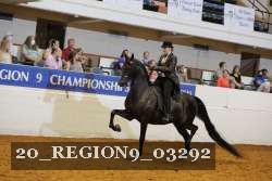 20_REGION9_03292 proof