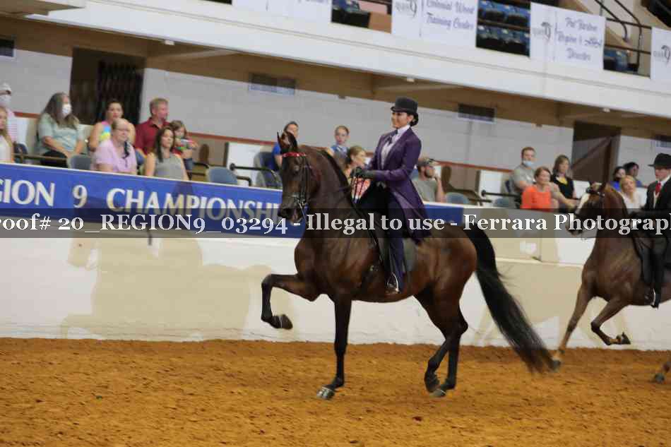 Proof 20_REGION9_03294