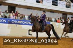 20_REGION9_03294 proof