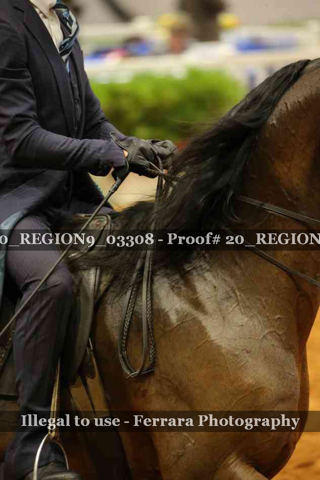 Proof 20_REGION9_03308