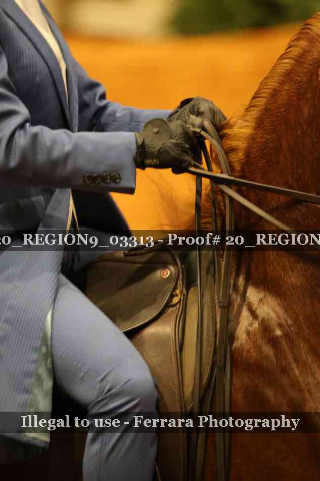 Proof 20_REGION9_03313