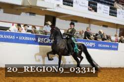 20_REGION9_03314 proof