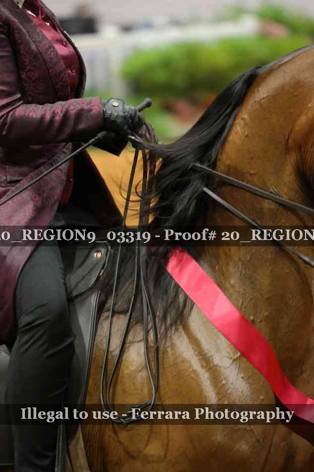 Proof 20_REGION9_03319