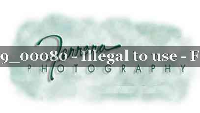 Proof 20_REGION9_00080