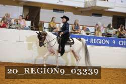 20_REGION9_03339 proof