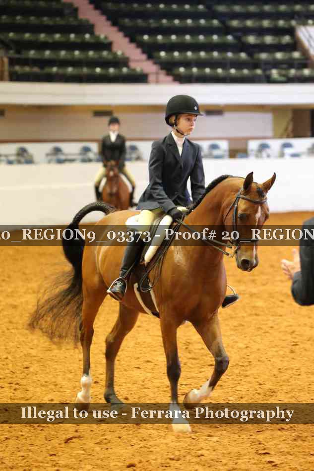 Proof 20_REGION9_03373