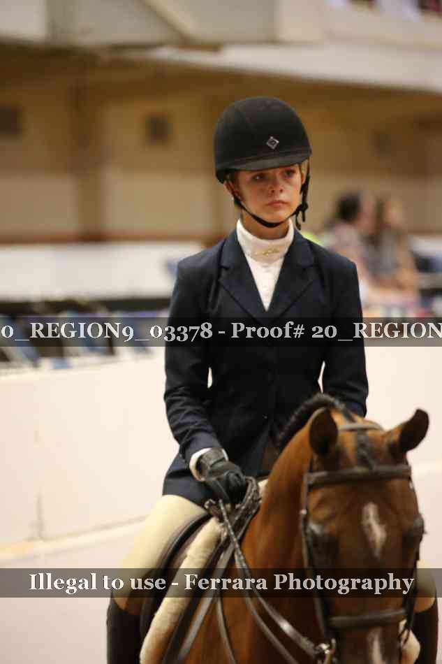 Proof 20_REGION9_03378