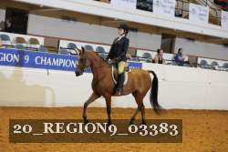 20_REGION9_03383 proof