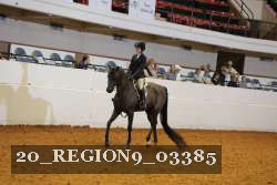 20_REGION9_03385 proof