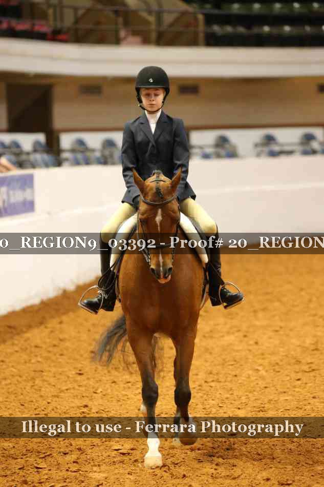 Proof 20_REGION9_03392