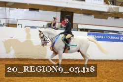 20_REGION9_03418 proof