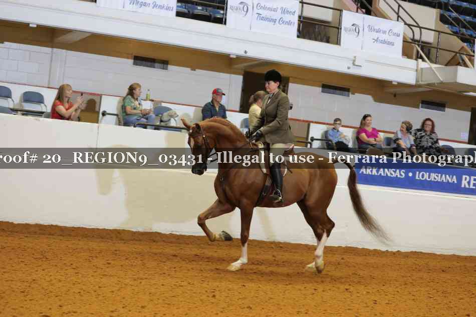 Proof 20_REGION9_03431