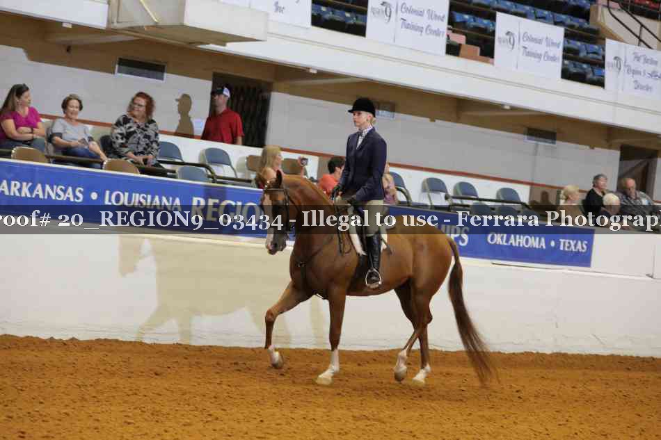 Proof 20_REGION9_03434