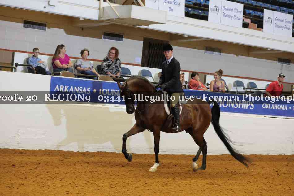 Proof 20_REGION9_03441