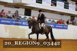 20_REGION9_03442 proof