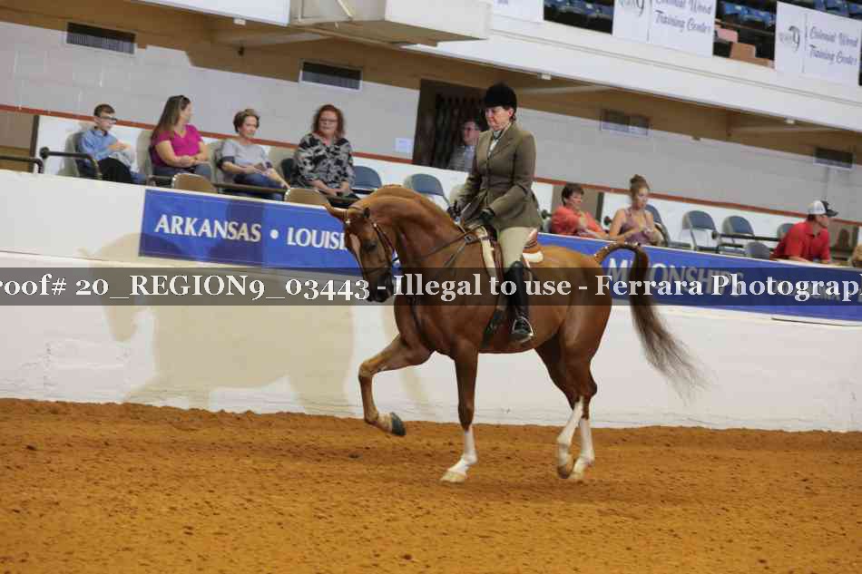 Proof 20_REGION9_03443