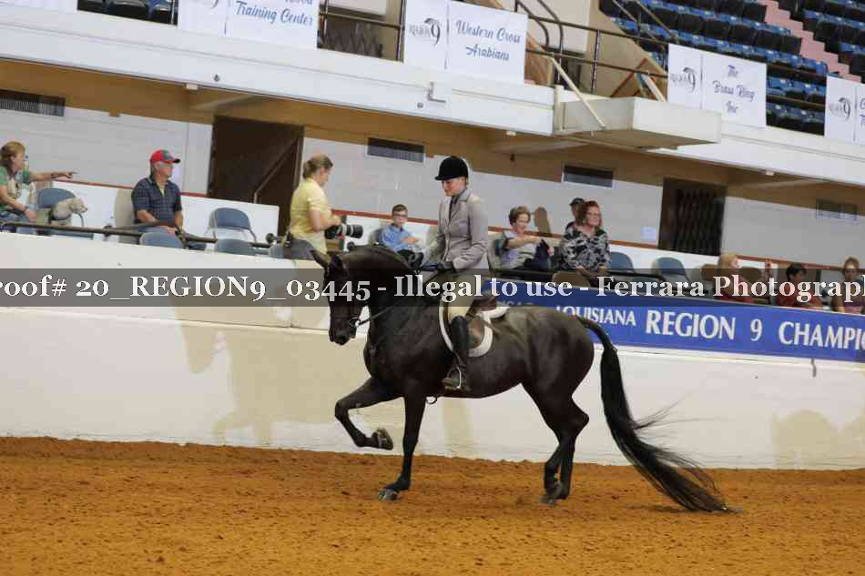 Proof 20_REGION9_03445