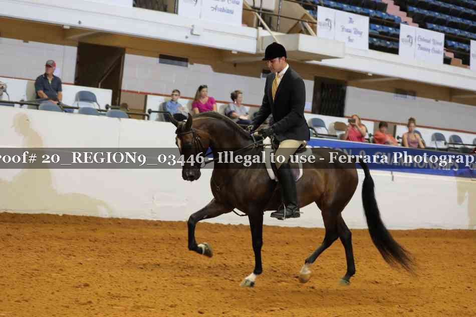 Proof 20_REGION9_03446