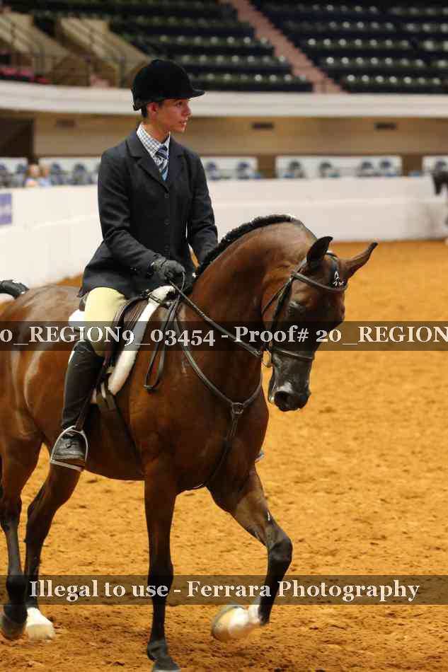 Proof 20_REGION9_03454