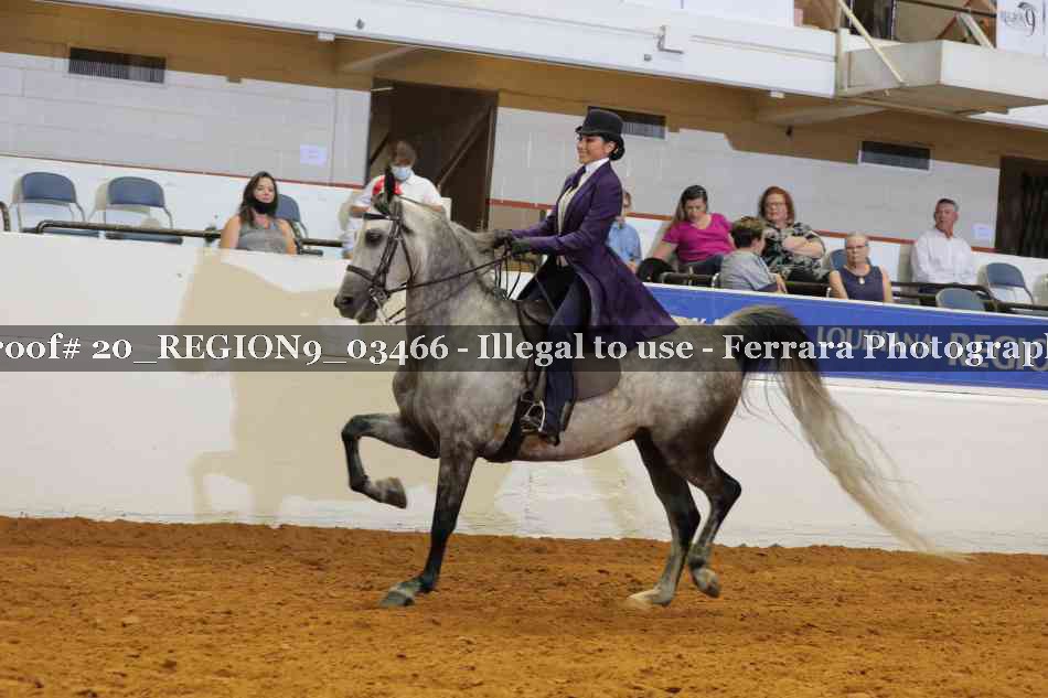 Proof 20_REGION9_03466