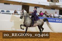 20_REGION9_03466 proof