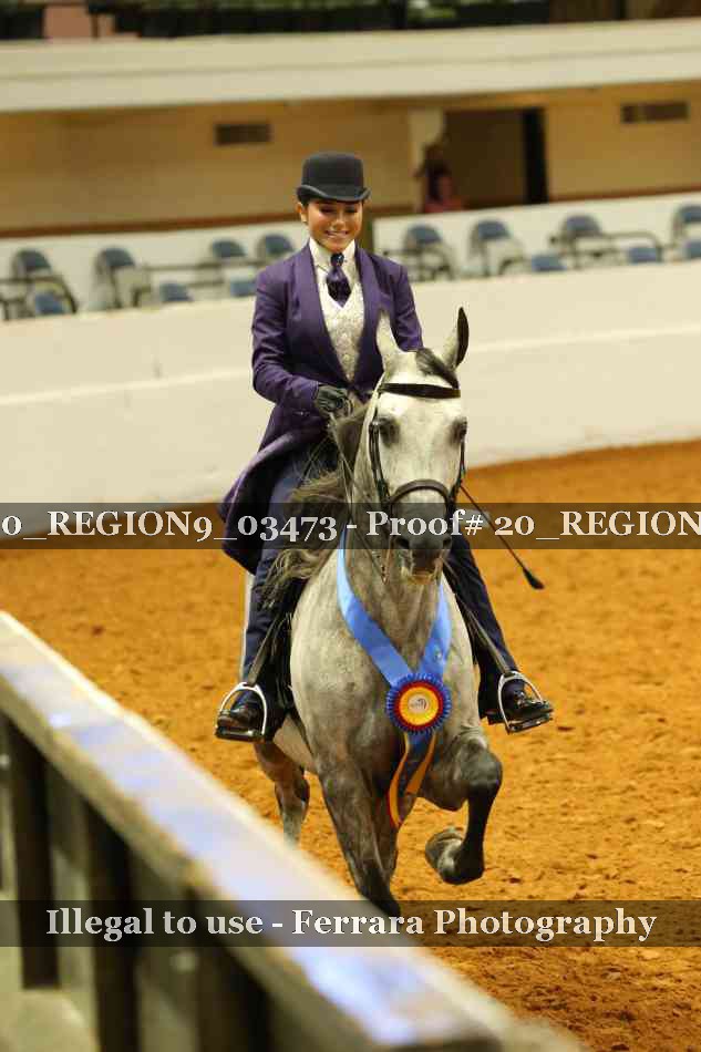 Proof 20_REGION9_03473