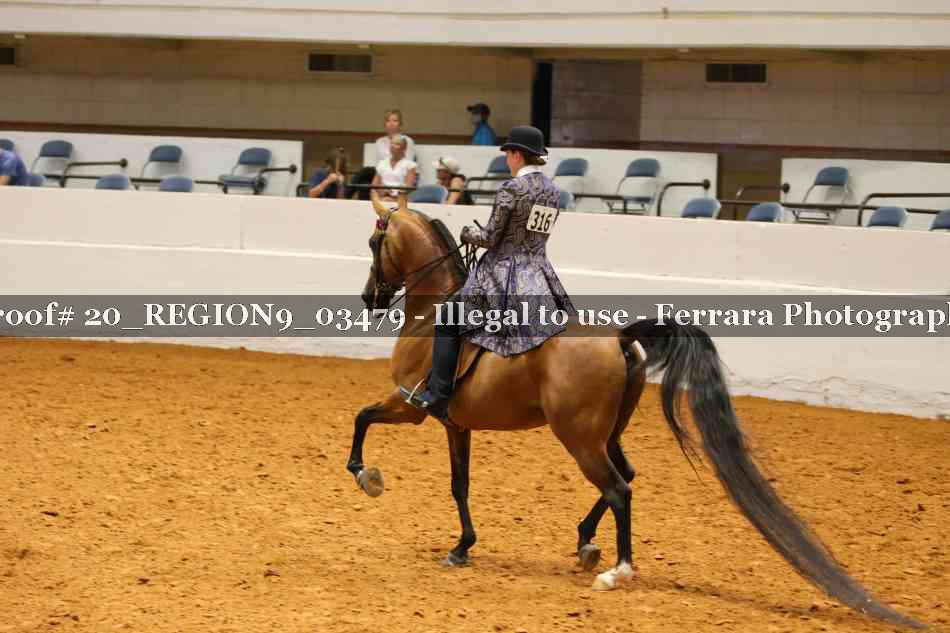 Proof 20_REGION9_03479