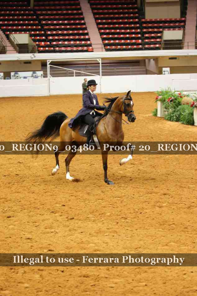 Proof 20_REGION9_03480