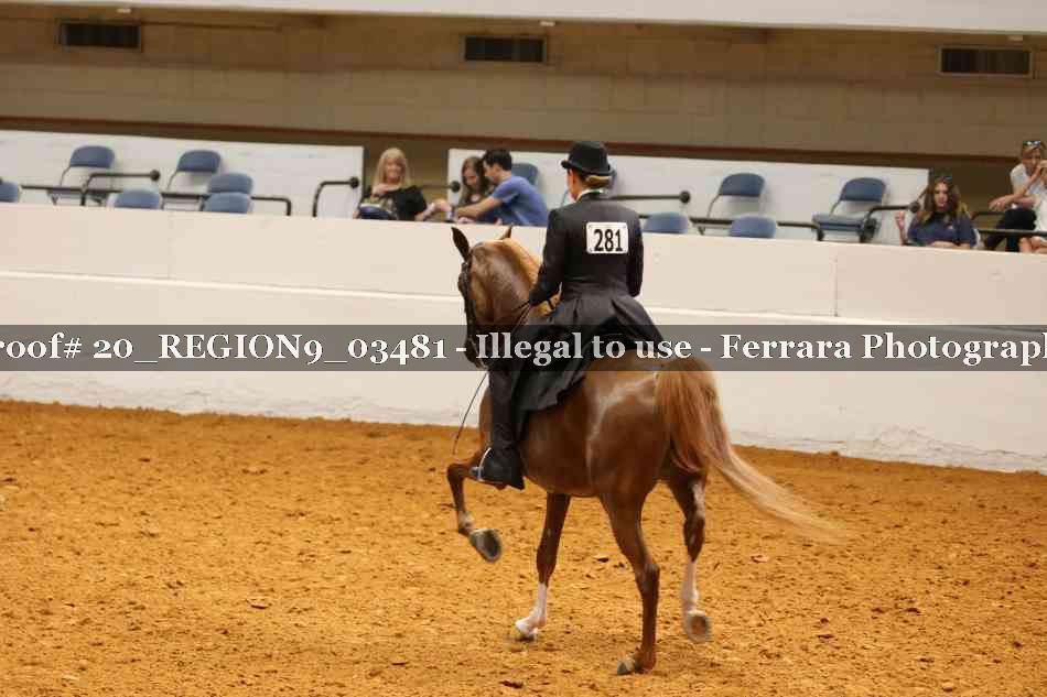 Proof 20_REGION9_03481