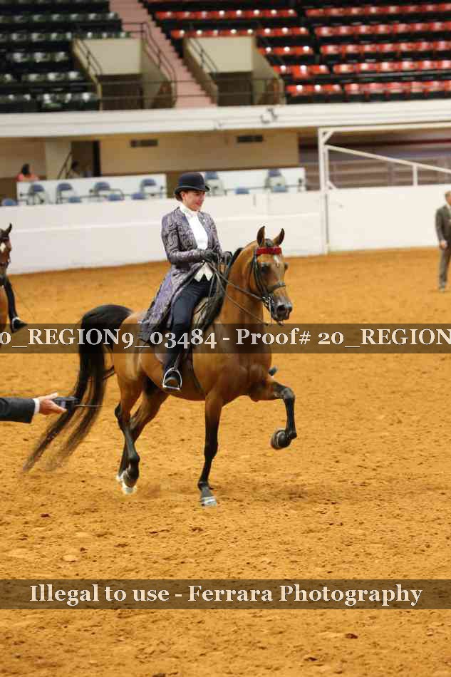 Proof 20_REGION9_03484