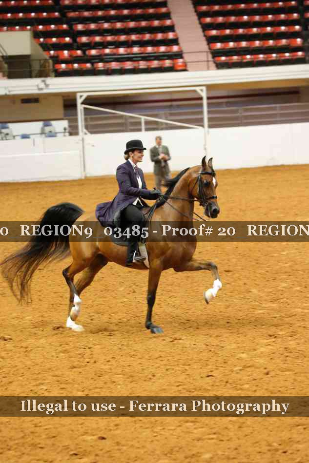 Proof 20_REGION9_03485