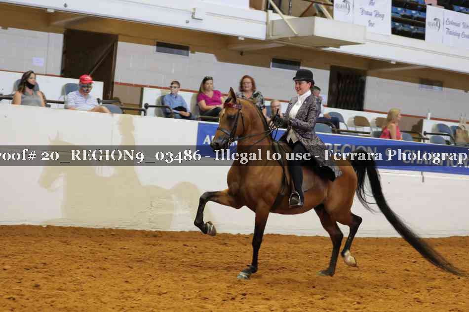 Proof 20_REGION9_03486