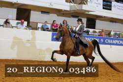 20_REGION9_03486 proof