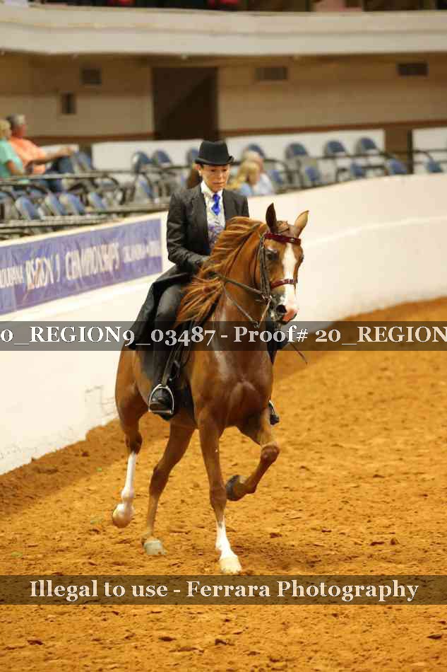 Proof 20_REGION9_03487