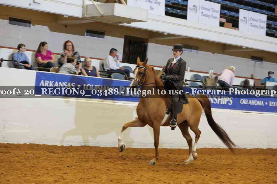Proof 20_REGION9_03488