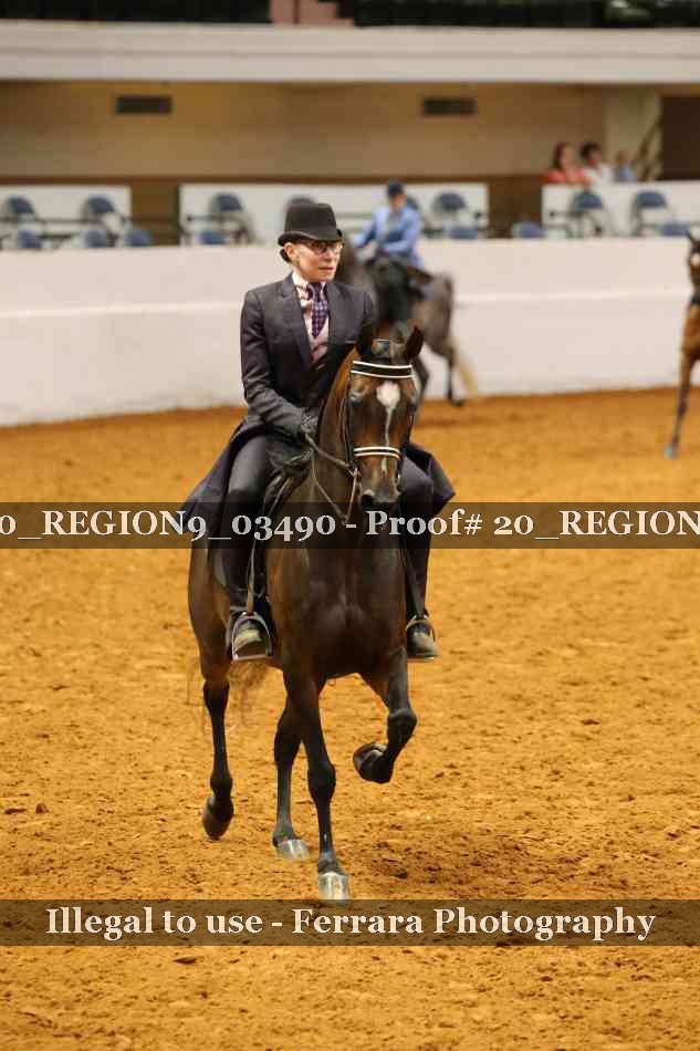 Proof 20_REGION9_03490
