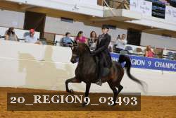20_REGION9_03493 proof