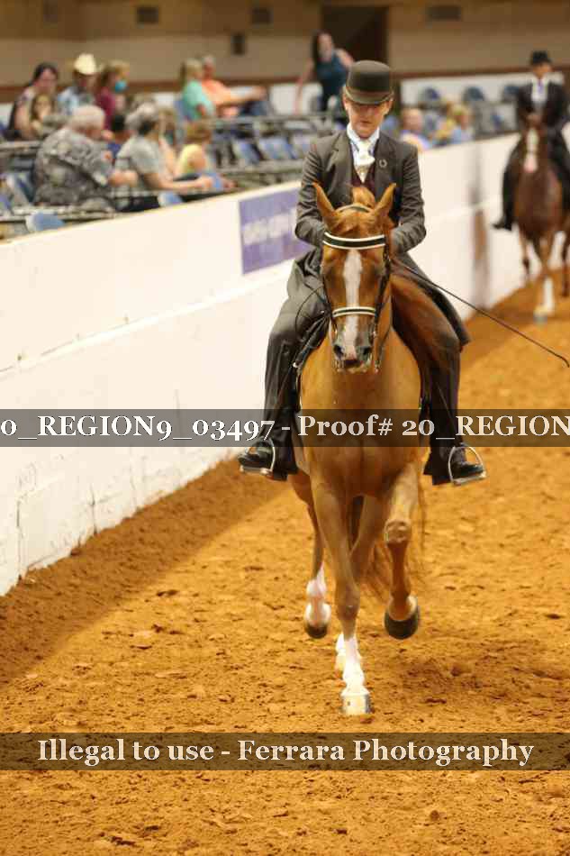 Proof 20_REGION9_03497